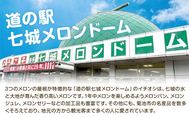 厳選 すいか 1玉 6kg～7kg 