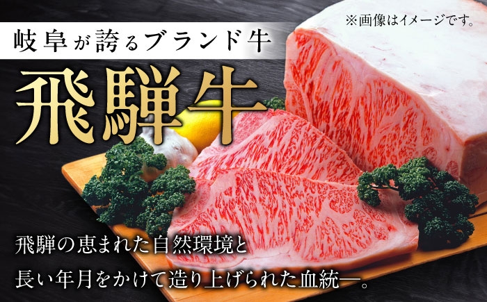 飛騨牛 切り落とし 牛肉 飛騨牛 切り落とし きりおとし 切りおとし 肉 和牛