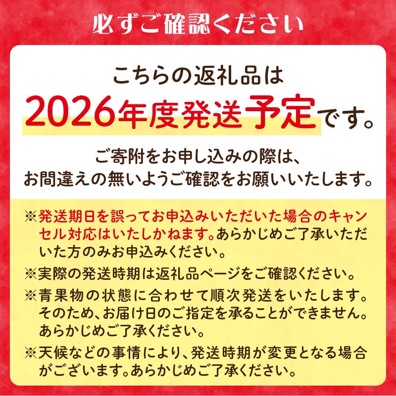 《先行受付》贈答規格 旬のりんご詰合せ約3kg（サンふじ確約3種以上）特秀～秀 大江町産【2026年12月上旬頃～発送予定】