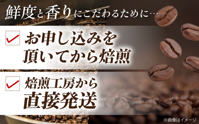 コーヒー 豆 コーヒー豆 お試し 珈琲豆 コーヒー粉 ドリップコーヒー