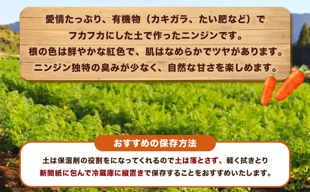 【訳あり】農家直送！ 土付き 人参 （向陽二） 5kg