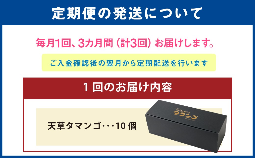 熊本県天草市で生まれたブランド卵「天草タマンゴ」10個入 ／ 化粧箱×3回 計30個 化粧箱入