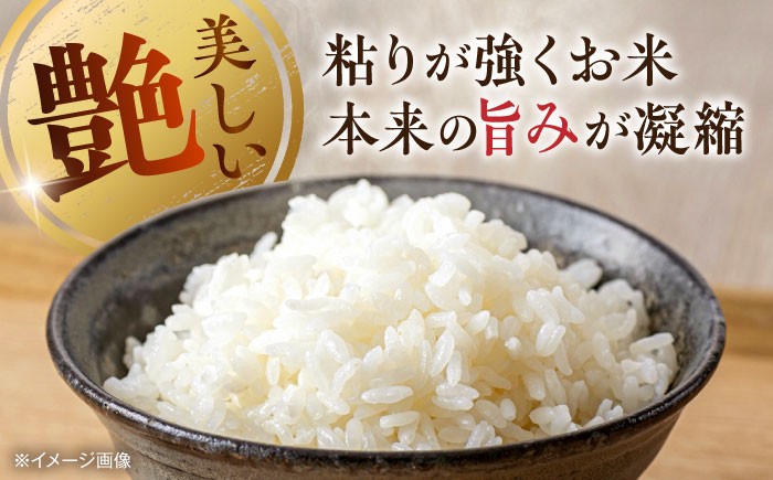 くまさんの輝き 白米 5kg (1袋) 米 お米 5キロ