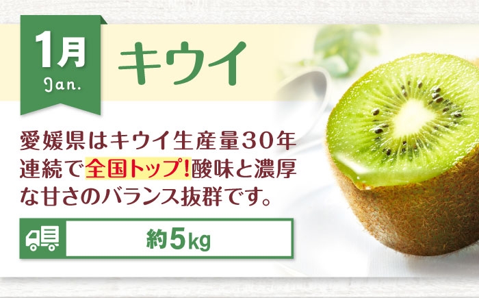 フルーツ定期便  果物セット 食べ比べ 果物 定期便 果物定期便 旬 季節 期間限定 苺 キウイ みかん ピオーネ スイカ