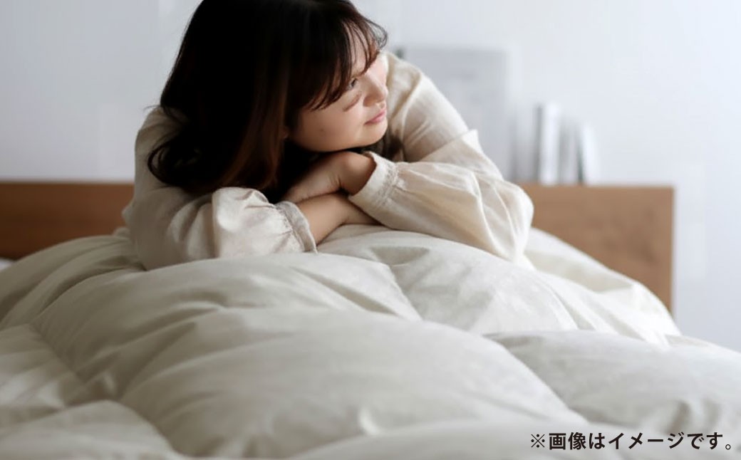 羽毛布団 シングル サーカス/ネイビー