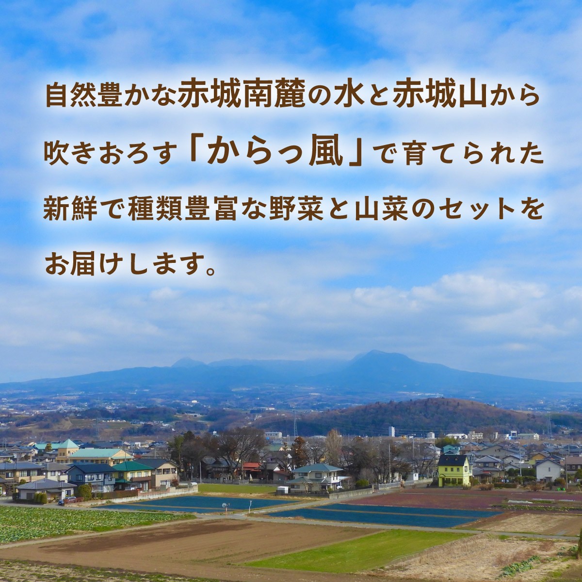 群馬県前橋市の赤城南麓の水で育てられた新鮮野菜
