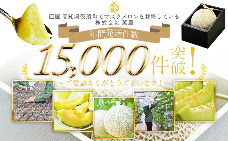※写真はイメージです