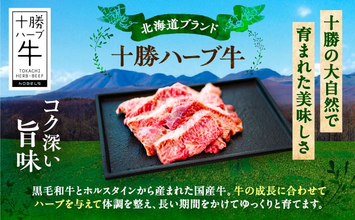 牛肉 牛 肉 にく ニク ハラミサガリ さがり はらみ 焼肉 焼肉用 焼き肉