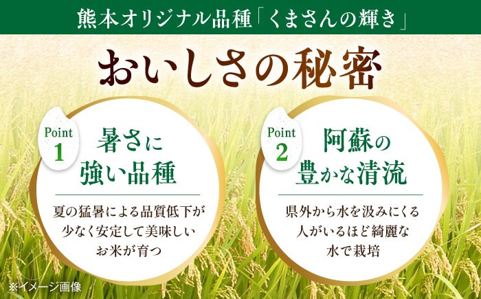 くまさんの輝き 白米 5kg (1袋) 米 お米 5キロ