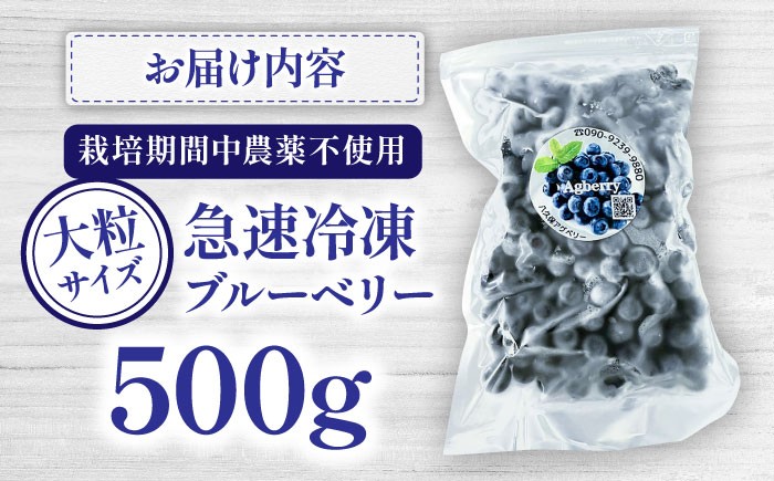 国産 急速冷凍ブルーベリー 500g ブルーベリー 冷凍 ぶるーべりー