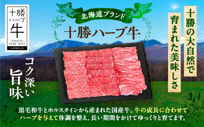 牛肉 牛 肉 にく ニク 肩ロース 焼肉 焼肉用 焼き肉 やきにく ヤキニク