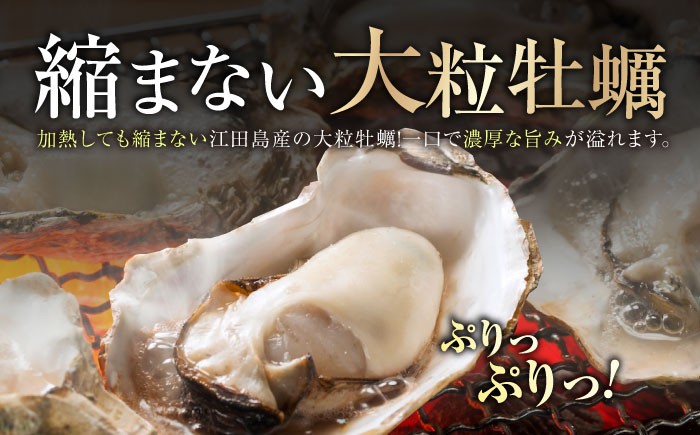 牡蠣 むき身 殻付き かき カキ 生牡蠣 広島牡蠣 オイスター カキフライ 魚介類 貝類 海鮮 広島県産 国産 産地直送
