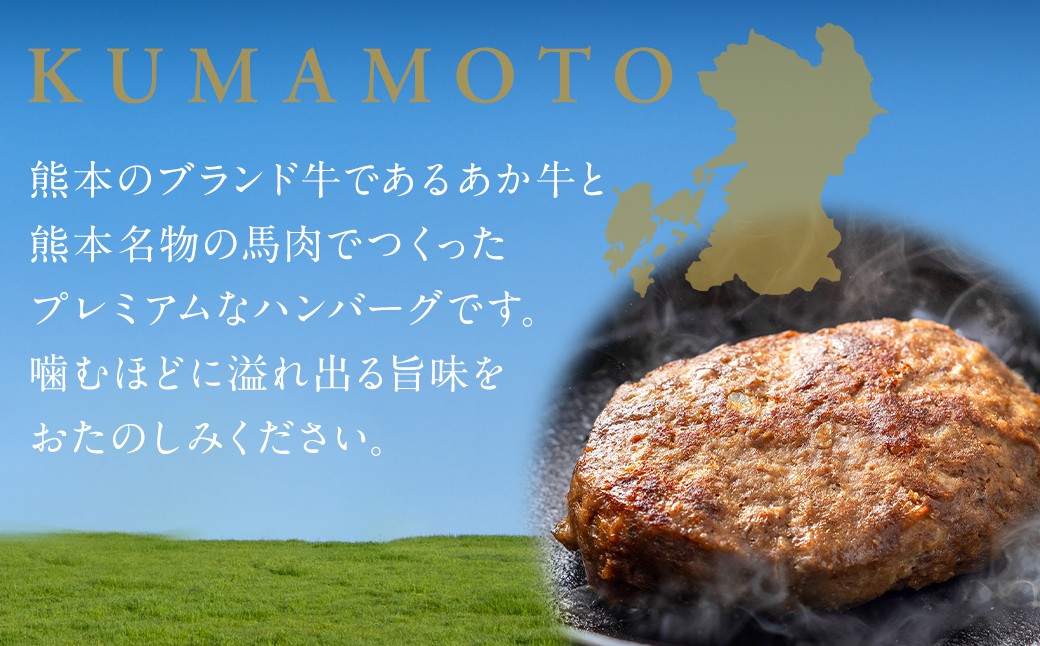 はんば～ぎゅう 計約780g（約130g×6個セット）