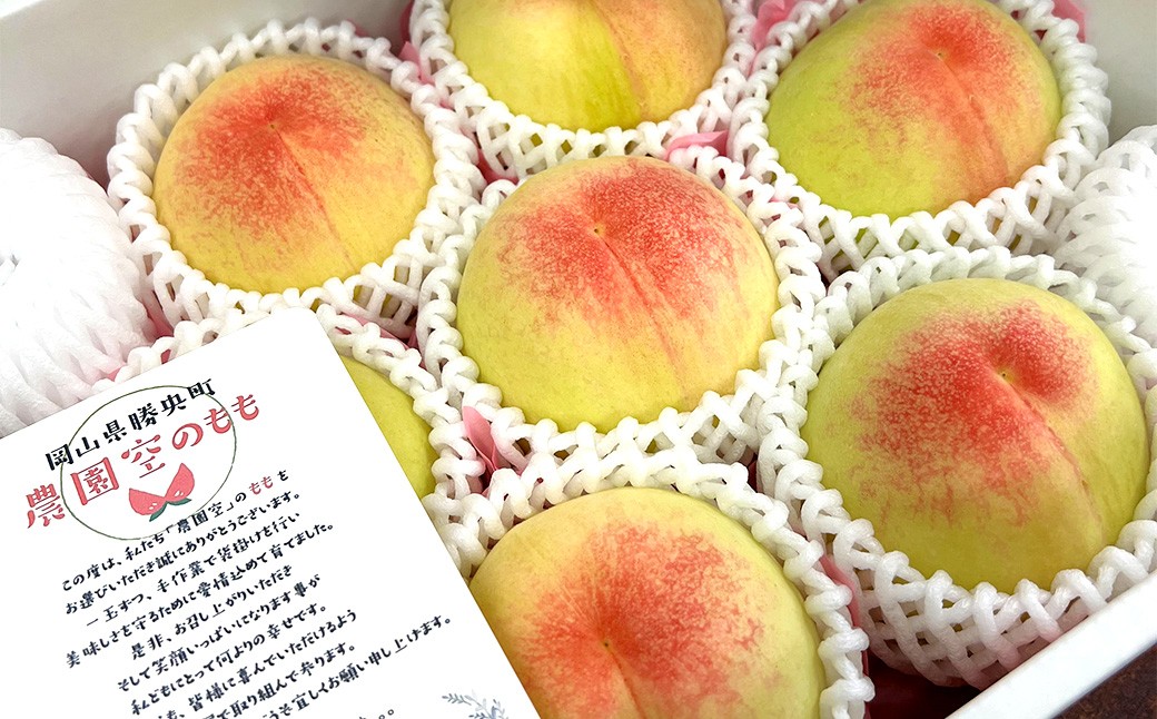 岡山県産 白桃