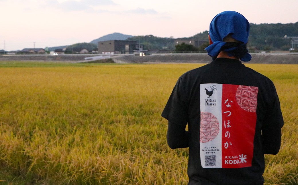 【KODAMAFARMS】にじのきらめき5kg×3回（計15kg）KODA米 