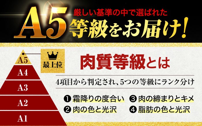 飛騨牛 ヒレ ヒレ肉 赤身 赤身肉 高級 ステーキ 焼き肉