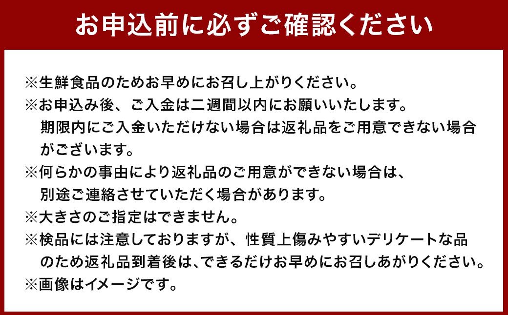 【訳あり】農家直送！ 土付き 人参 （向陽二） 5kg