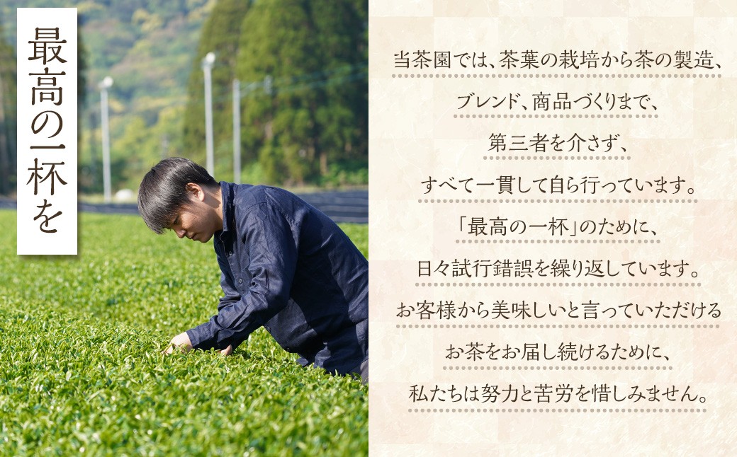 川内ほまれ ST18 3種セット