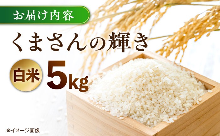 くまさんの輝き 白米 5kg (1袋) 米 お米 5キロ