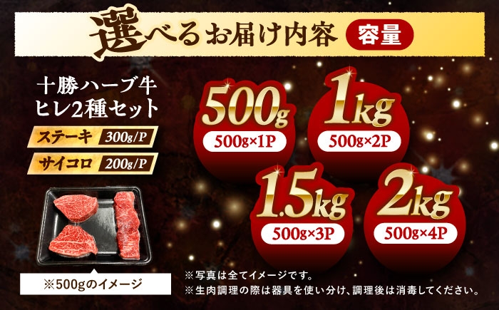 牛肉 牛 肉 にく ニク サーロイン ひれ ヘレ ステーキ 食べ比べ 国産 道産