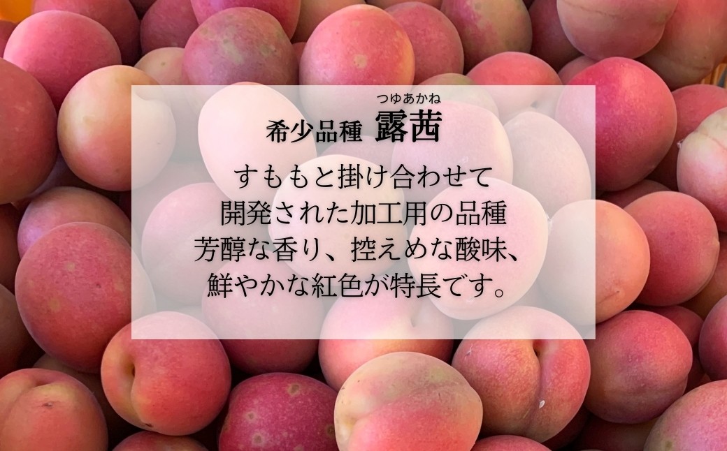 小高の露茜（完熟熟成冷凍梅）　2Kg詰め