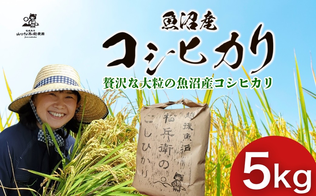 越後魚沼 松兵衛のこしひかり 5kg 魚沼産コシヒカリ 山口松兵衛農園