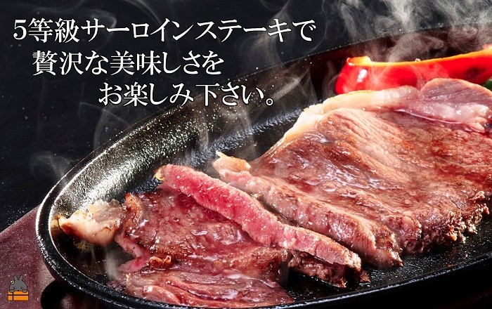 世界が認めた自然が残る。奄美群島徳之島生まれの牛さんです。