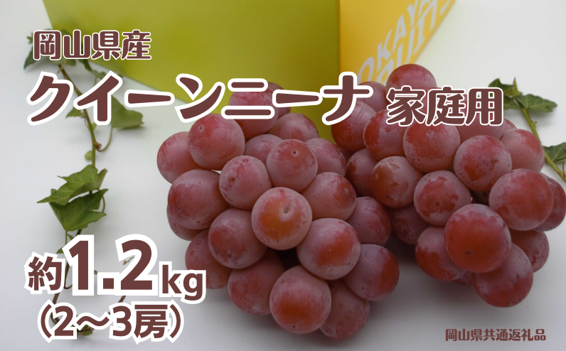ご家庭用 クイーンニーナ 2～3房 合計約1.2kg