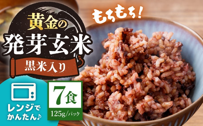 玄米 黒米 パックご飯 米