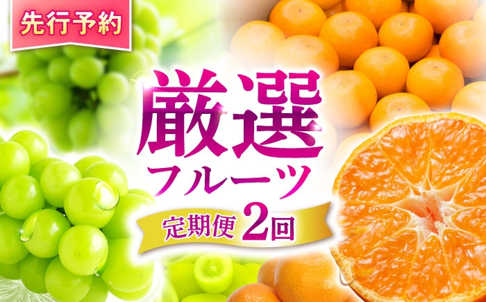 フルーツ ふるーつ フルーツ定期便 果物 果物定期便 くだもの