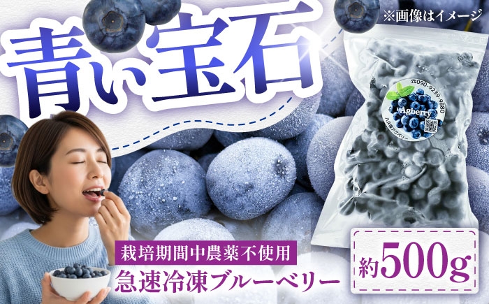 berry ベリー 果物 くだもの フルーツ デザート スイーツ ジャム ポリフェノール 抗酸化作用果物 新鮮 人気