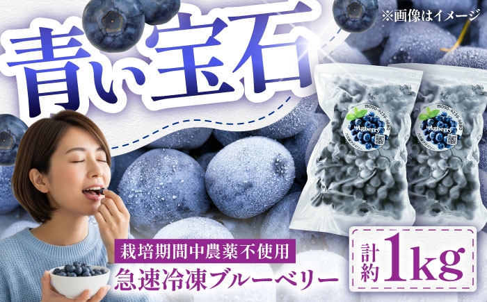  冷凍 ブルーベリー 500g 果物 ブルーベリー フルーツ 冷凍 ブルーベリー 小分け ぶるーべりー 国産