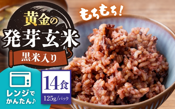 玄米 黒米 パックご飯
