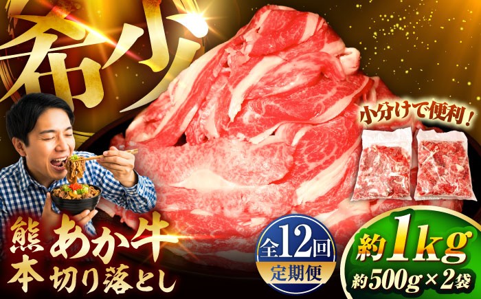 菊陽町 あかうし 熊本県 肉 にく niku ブランド 旨み 定期便