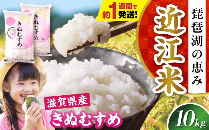 近江米 きぬむすめ キヌムスメ 滋賀県産 国産 10kg 米 コメ お米 白米 ご飯 おにぎり ご飯のお供 お弁当 親子丼