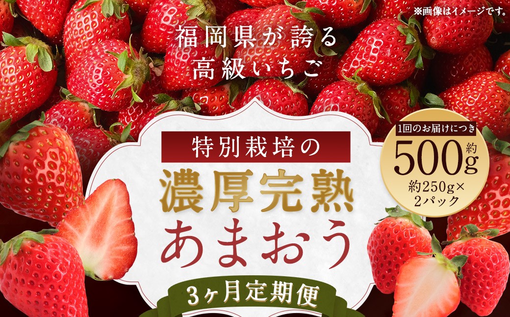 【3回定期便】 特別栽培の 濃厚 完 熟あまおう 約500g 約250g×2パック