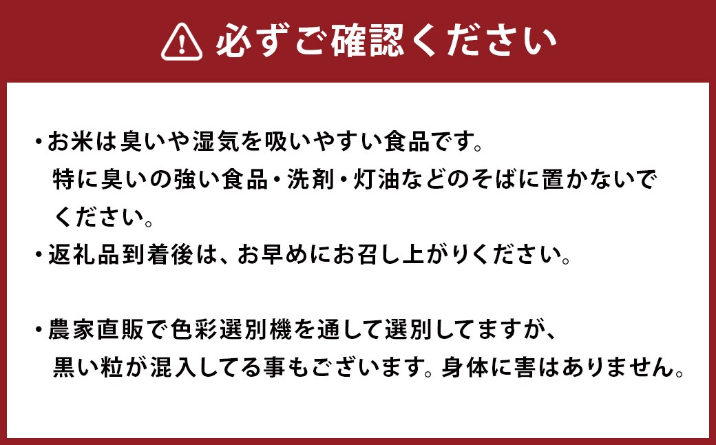 熊本 益城町産 ヒノヒカリ 10kg お米