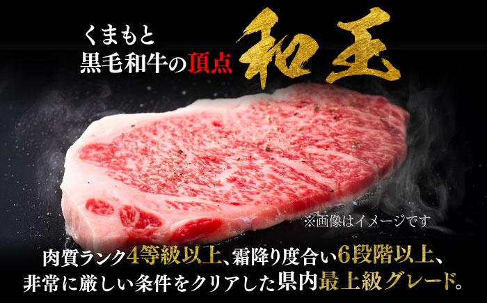 くまもと 黒毛和牛 和王 肩ロース セット（焼き肉用・しゃぶしゃぶ用） 計約800g（各1P）