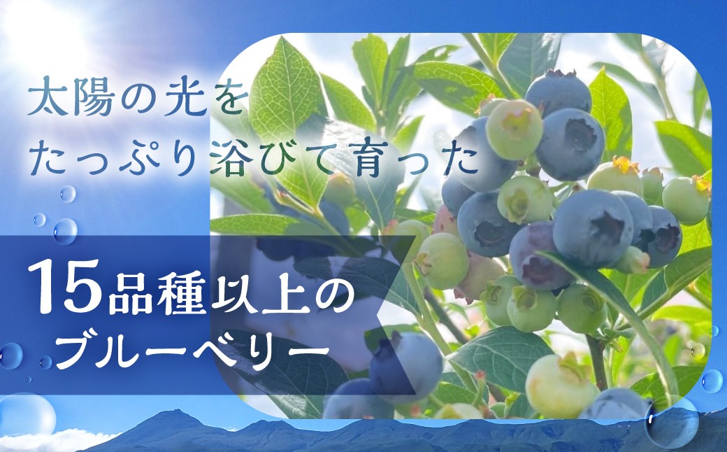 ソフトプレーン