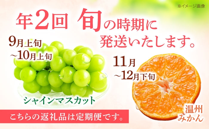 フルーツ ふるーつ フルーツ定期便 果物 果物定期便 くだもの