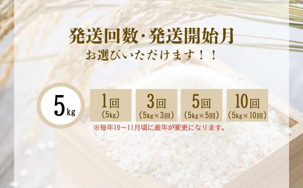 【回数/発送月 選べる】【令和7年産】えびの産 ヒノヒカリ 5kg
