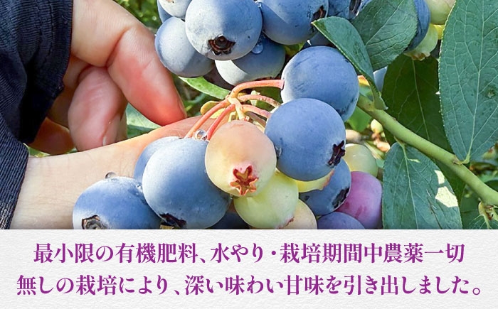 berry ベリー 果物 くだもの フルーツ デザート スイーツ ジャム ポリフェノール 抗酸化作用果物 新鮮 人気