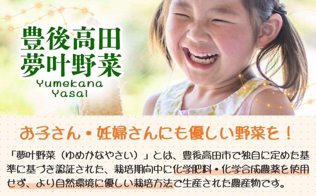 ※画像はイメージです。