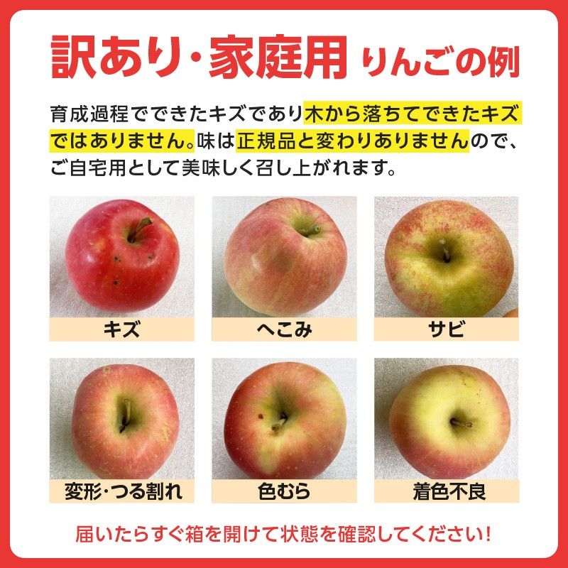 《先行受付》訳ありこうとく約4.5kg【2026年11月上旬～発送予定】【大江町産・山形りんご・りんご専科 清野】
