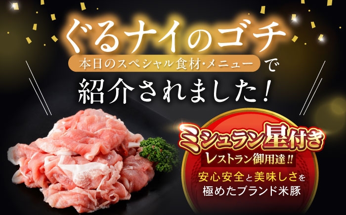 黒豚 豚肉 ぶたにく 小分け 切り落とし 冷凍 パック 豚うで 豚ウデ 豚もも 豚モモ ブランド豚 豚 ぶた ブタ