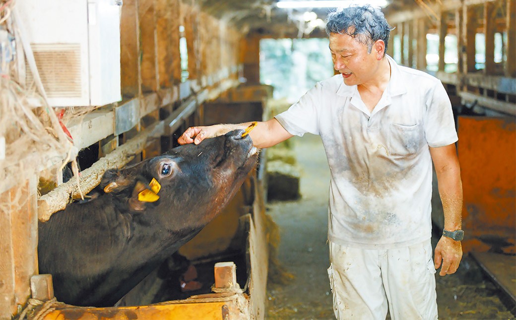 【冷凍 定期便4ヶ月】武藤牧場直売店山嘉 焼肉用お肉 約500g×4回