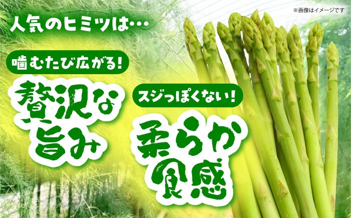 食品 野菜 アスパラ アスパラガス あすぱら あすぱらがす 佐賀県 佐賀 国産