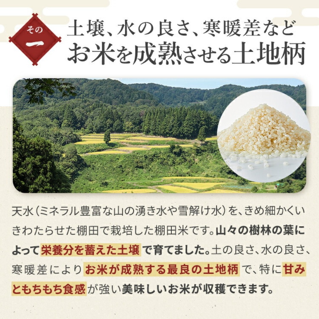 私たちが栽培している若栃の棚田です。