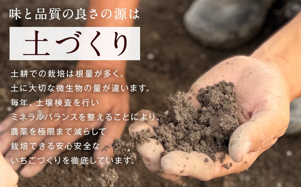 【3回定期便】 特別栽培の 濃厚 完熟 あまおう 約1kg 約250g×4パック