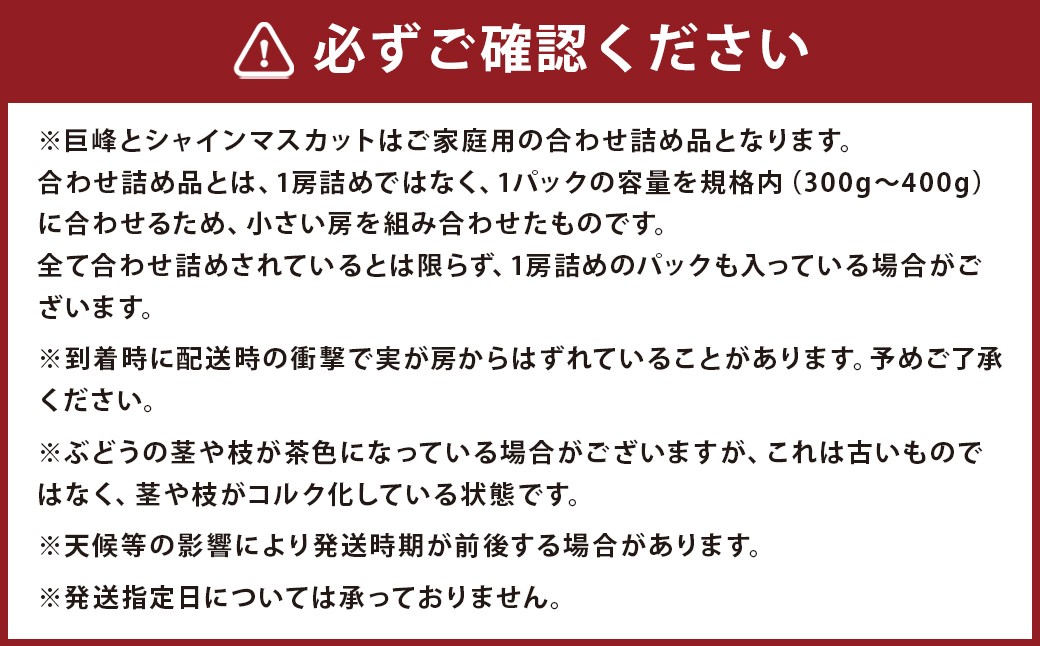 【定期便5回コース】時津の果物定期便 みかんとぶどうの町から贈る 特産品の定期便